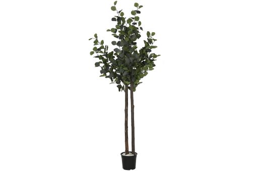 Árvore Poliéster Madeira 90X90X180 Eucalipto Verde