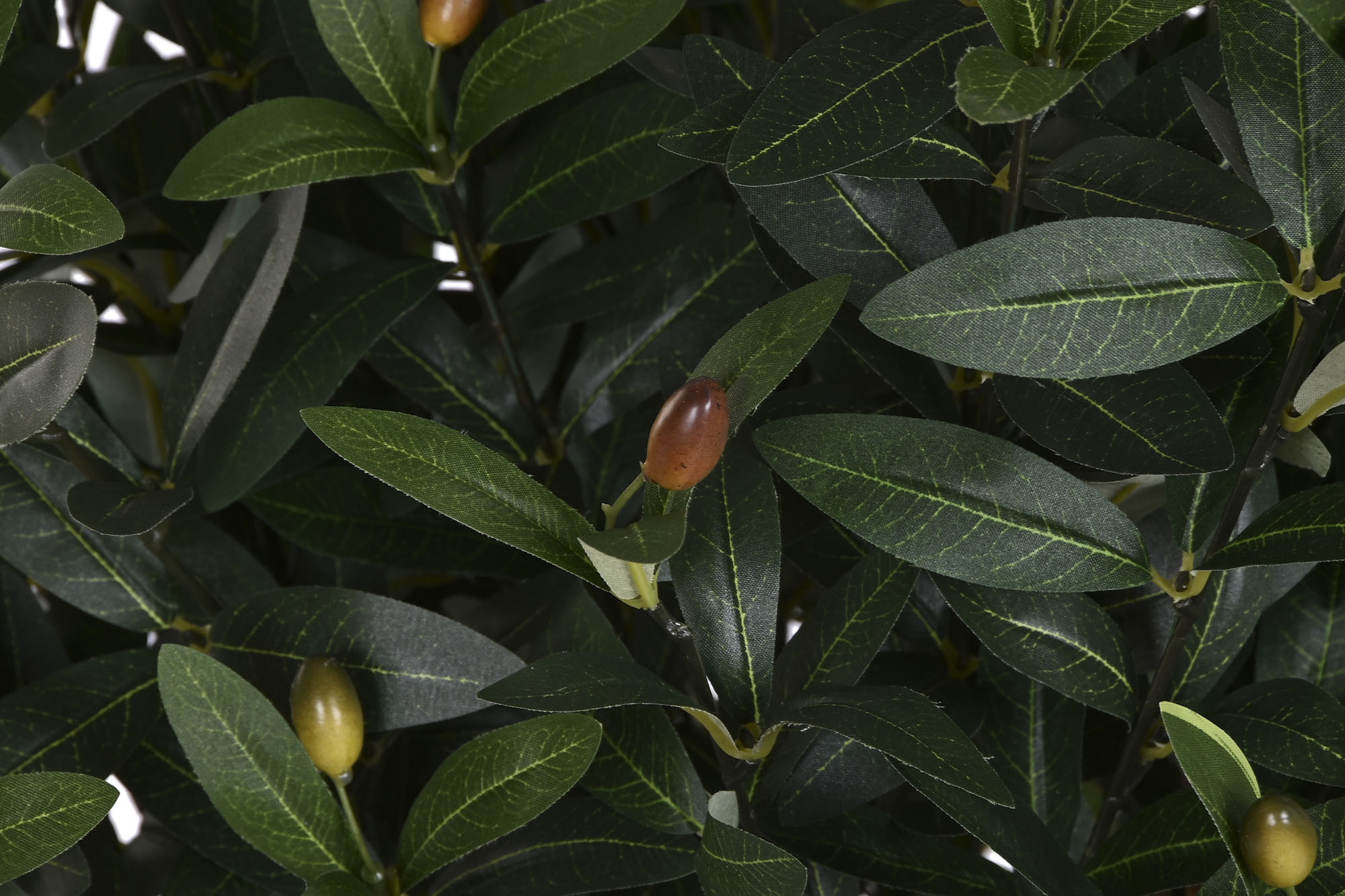 Árvore Poliéster På 60X60X120 1344 Hojas Oliveira (2 Unidades) - Image 6