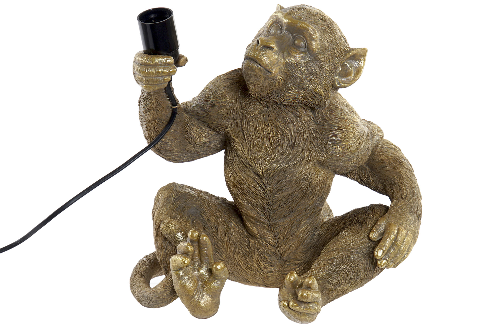 5 Macaco Dourado (2 Unidades)