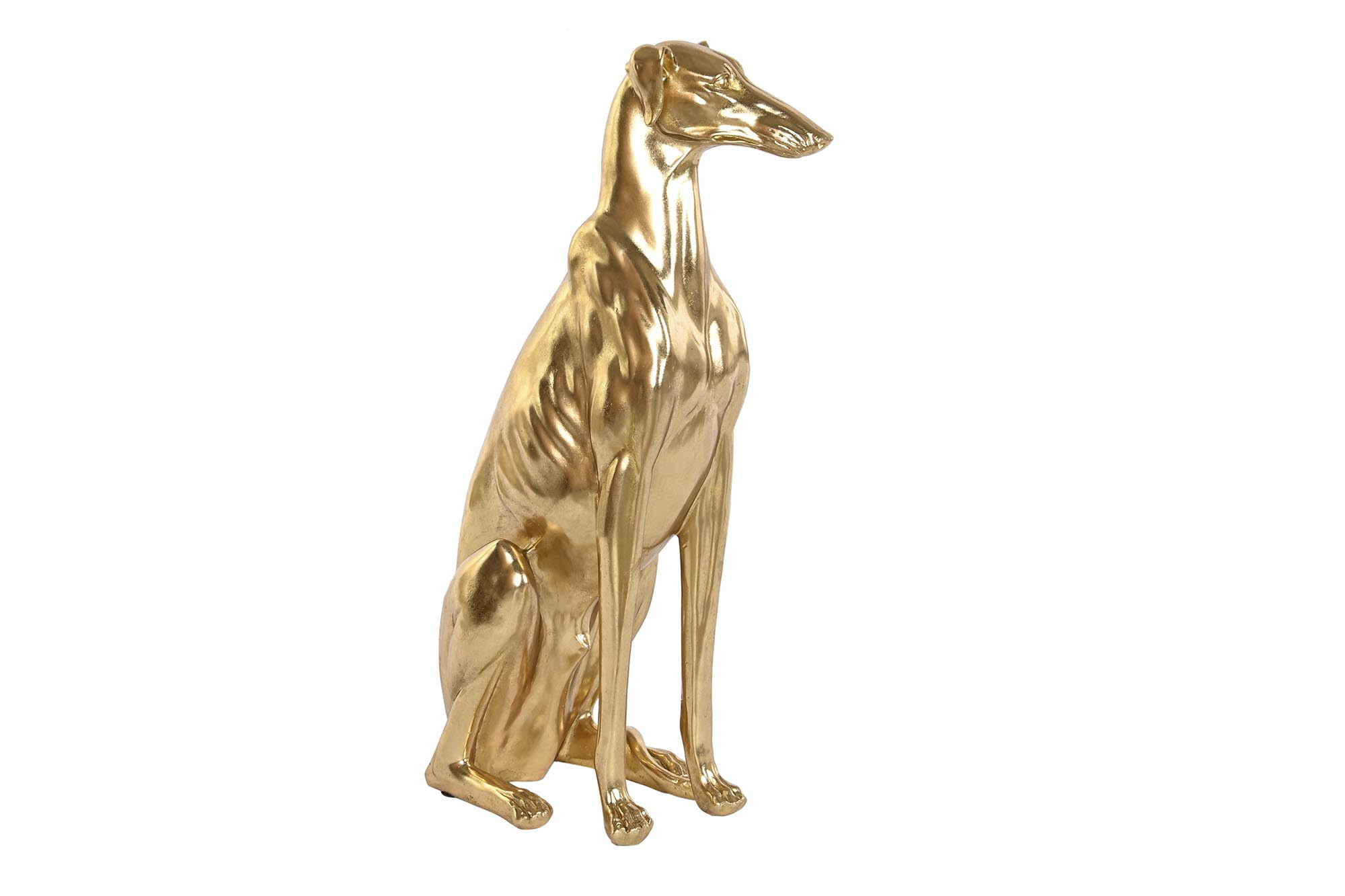 5X78 Galgo Dourado