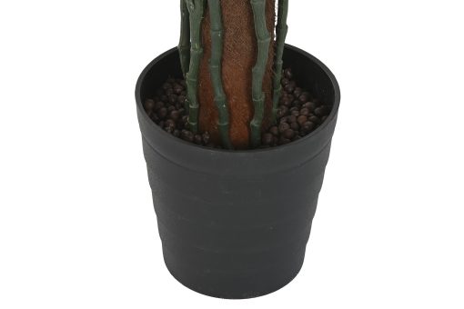 Planta Pé 80X80X150 Monstera Verde (2 Unidades) - Image 6