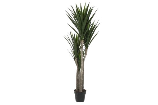 Planta Pé 80X80X155 Verde (2 Unidades) - Image 3