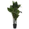 Planta Pé 80X80X180 Spathe Verde (2 Unidades)