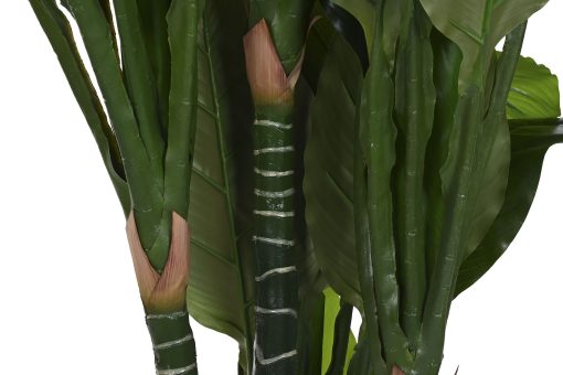 Planta Pé 80X80X180 Spathe Verde (2 Unidades) - Image 7