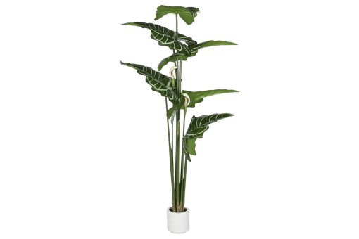 Planta Pé 80X80X230 Verde (2 Unidades)
