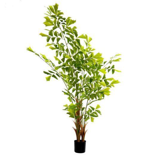 Planta Pé 90X70X250 Verde (2 Unidades) - Image 3