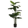 Planta Pé 90X90X170 Verde (2 Unidades)