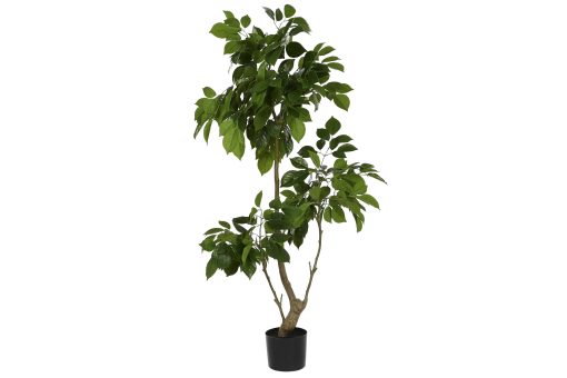 Planta Pé Cimento 80X80X120 Verde (2 Unidades) - Image 2