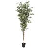 Planta Pé Cimento 80X80X180 Ficus Verde (2 Unidades)
