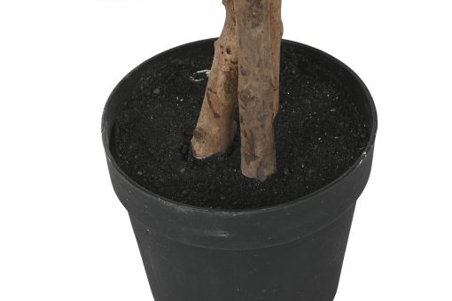 Planta Pé Cimento 80X80X180 Ficus Verde (2 Unidades) - Image 7