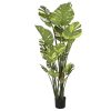 Planta Pé Cimento 80X80X180 Monstera Verde (2 Unidades)