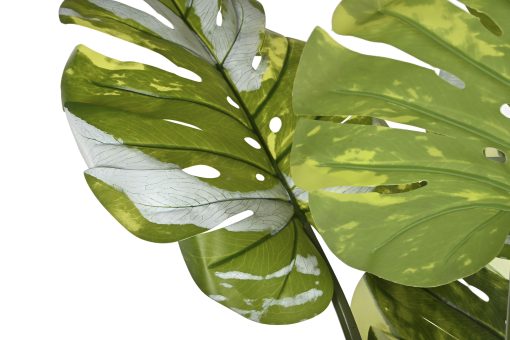 Planta Pé Cimento 80X80X180 Monstera Verde (2 Unidades) - Image 3