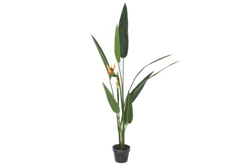 Planta Pé Pp 50X50X150 Verde (2 Unidades)