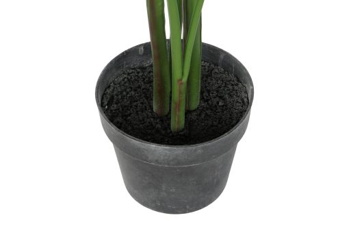 Planta Pé Pp 50X50X150 Verde (2 Unidades) - Image 7