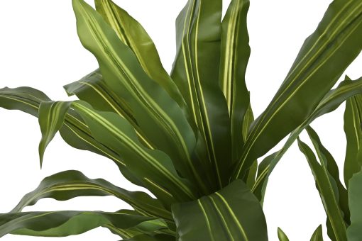 Planta Pé Pp 70X70X150 Verde (2 Unidades) - Image 2