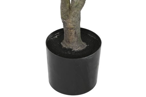 Planta Pé Pp 82X86X218 Verde (2 Unidades) - Image 3