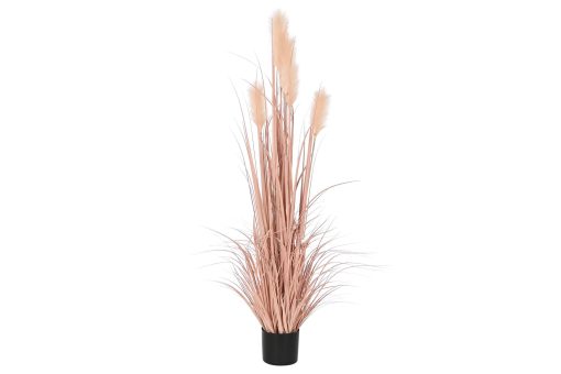 Planta Pé Pvc 45X45X150 Espanador Coral (2 Unidades)