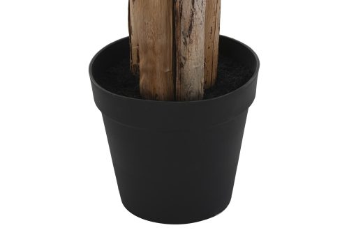 Planta Poliéster Pp 90X90X240 Verde - Image 6