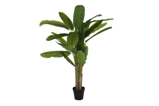 Planta Poliéster Pp 90X90X240 Verde