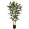 Planta Pp På 100X100X150 Bambu Verde (2 Unidades)