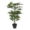 Planta Pvc 64X64X90 Fatsia Japonesa Verde (2 Unidades)