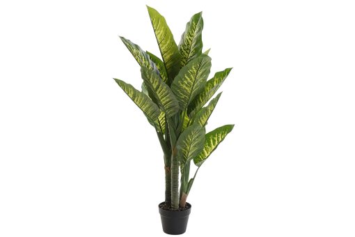 Planta Pvc 75X72X120 Dieffenbachia Verde (2 Unidades) - Image 2