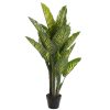 Planta Pvc 75X72X120 Dieffenbachia Verde (2 Unidades)