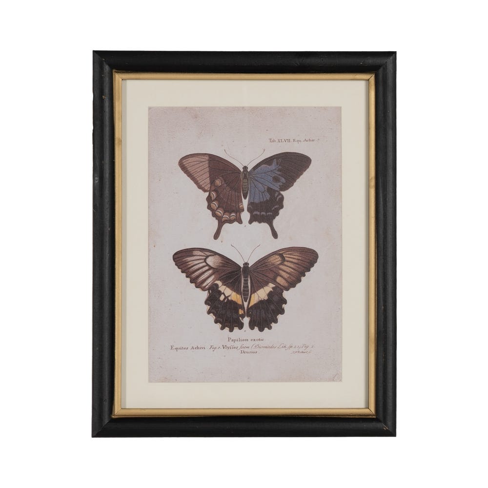 Imagem Borboletas Estampadas 4/M 31 X 1,80 X 39 Cm (4 Unidades) - Image 4