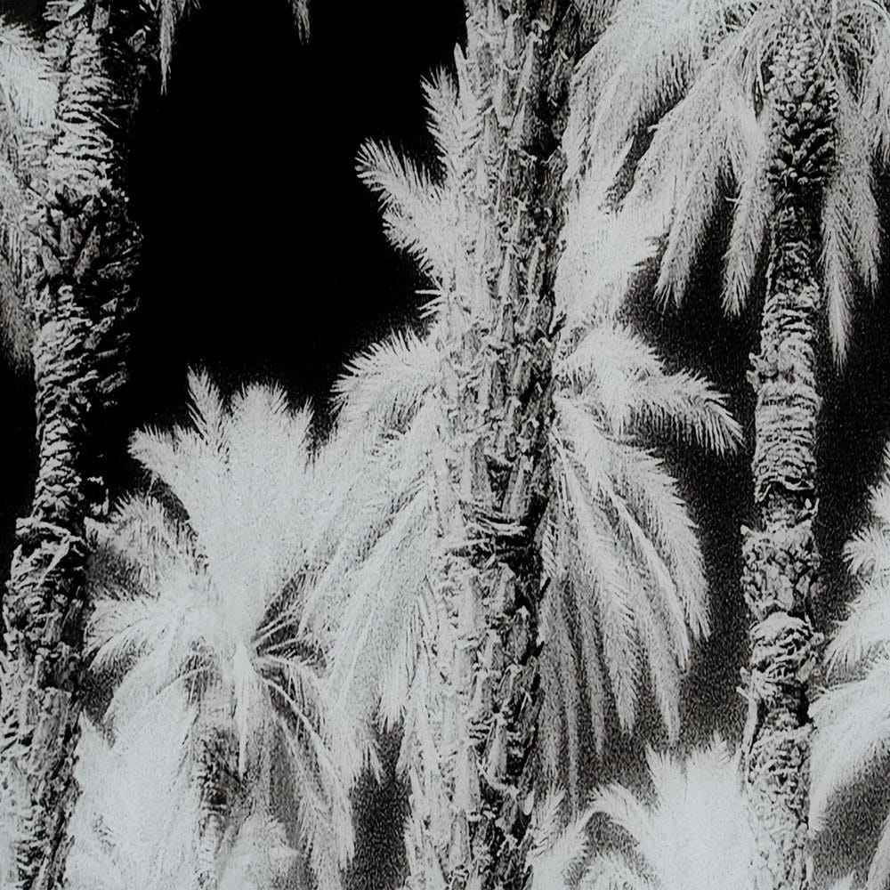 Imagem Estampada Palmeiras 120 X 4 X 70 Cm - Image 3