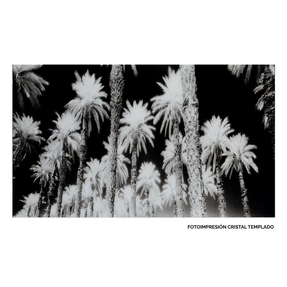 Imagem Estampada Palmeiras 120 X 4 X 70 Cm