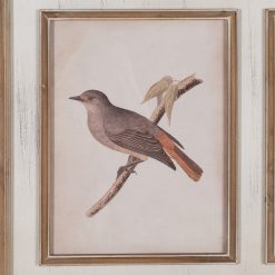 Alternative view of Imagem Impressa Pássaros 72,50 X 3,50 X 88 Cm