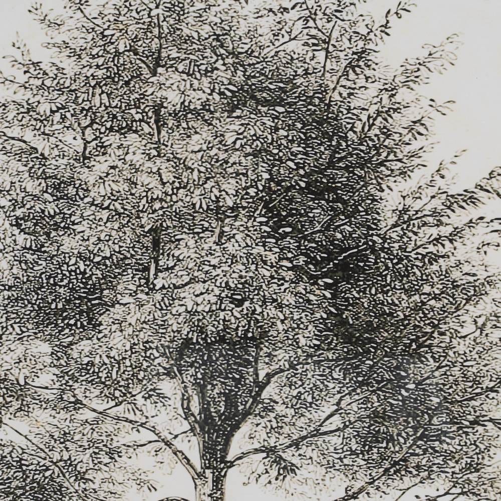 Imagem Impresso Árvore 2/M 45 X 2,50 X 60 Cm (2 Unidades) - Image 3