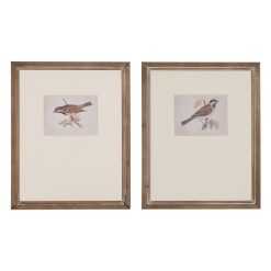 Imagem Impresso Pássaros 2/M 43 X 2 X 53 Cm (2 Unidades)