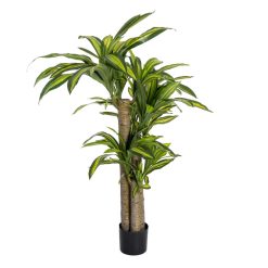 Planta Dracaena Verde em Poliéster 130 cm
