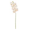 Flor Orquídea Branco Goma Decoração 71 Cm (4 unidades)