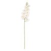 Flor Orquídea Branco Goma Decoração 96 Cm (6 unidades)