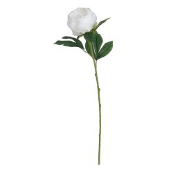 Flor Peónia Branco Poliéster-Polietileno 66 Cm ( 24 unidades)