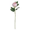 Flor Peónia Rosa Poliéster-Polietileno 66 Cm ( 24 unidades)