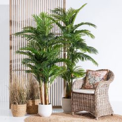 Alternative view of Planta Areca Palmera Verde 100 X 130 X 210 Cm