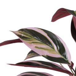 Alternative view of Planta Ave Del Paraíso Verde Artificial 43 X 40 X 55 Cm