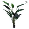 Planta Ave Del Paraíso Verde Pvc 245 Cm