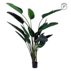 Planta Ave Del Paraíso Verde Pvc 245 Cm