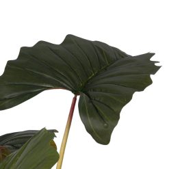 Alternative view of Planta Colocasia Verde Polietileno 185 Cm