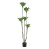 Planta Deserto Verde Pvc Jardins 170 Cm