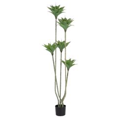 Planta Deserto Verde Pvc Jardins 170 Cm