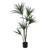 Planta Dracaena Verde Goma Decoração 130 Cm