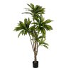 Planta Dracaena Verde Goma Decoração 200 Cm