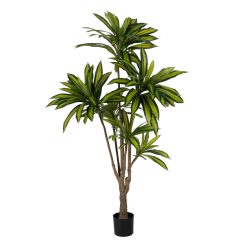Planta Dracaena Verde Goma Decoração 200 Cm