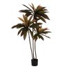 Planta Dracaena Vermelho Goma Decoração 165 Cm