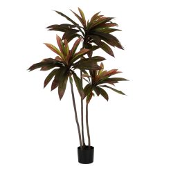 Planta Dracaena Vermelho Goma Decoração 165 Cm